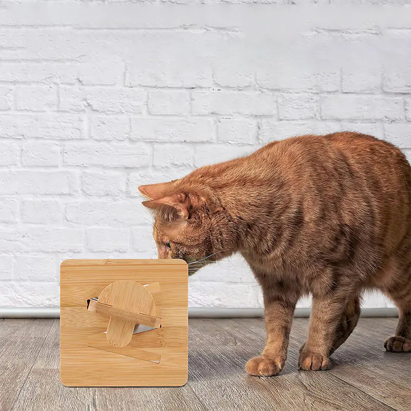 Bamboo Dual Pet Feeder Stand