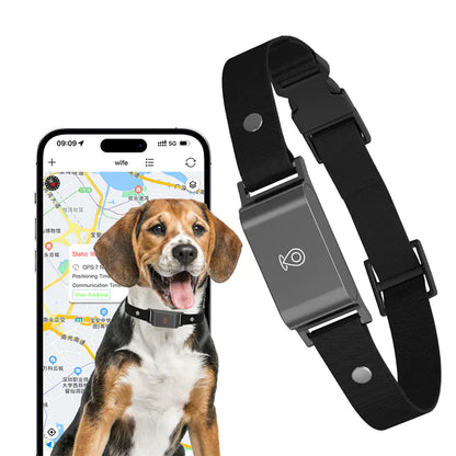 Waterproof Pet GPS Tracking Collar