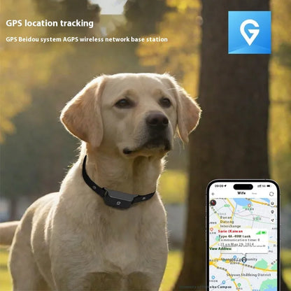 Waterproof Pet GPS Tracking Collar