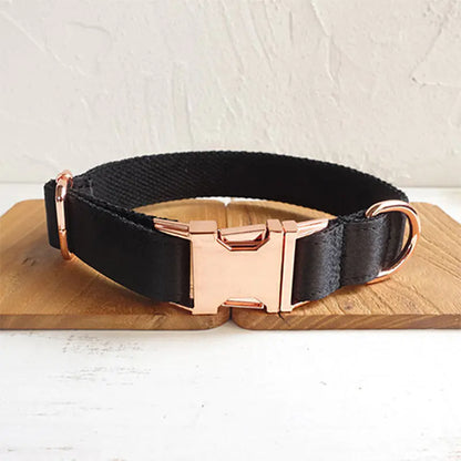 Black Class Dog Collar