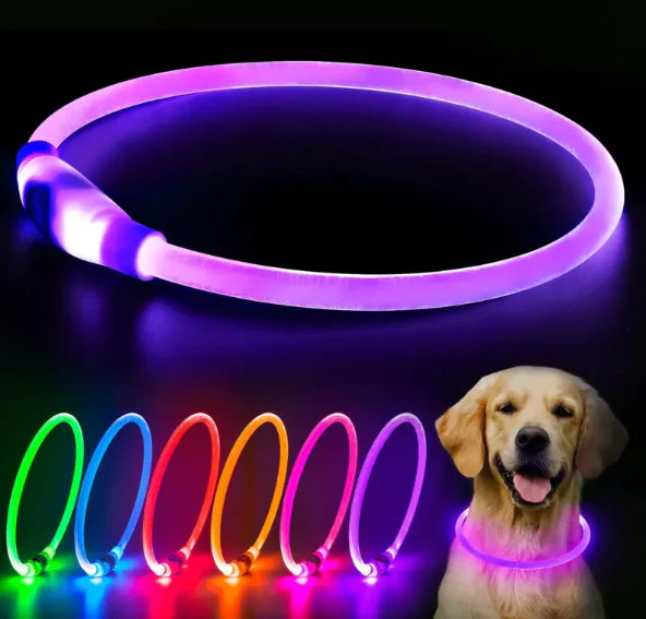 LED Rechargeable Night Dog Collar