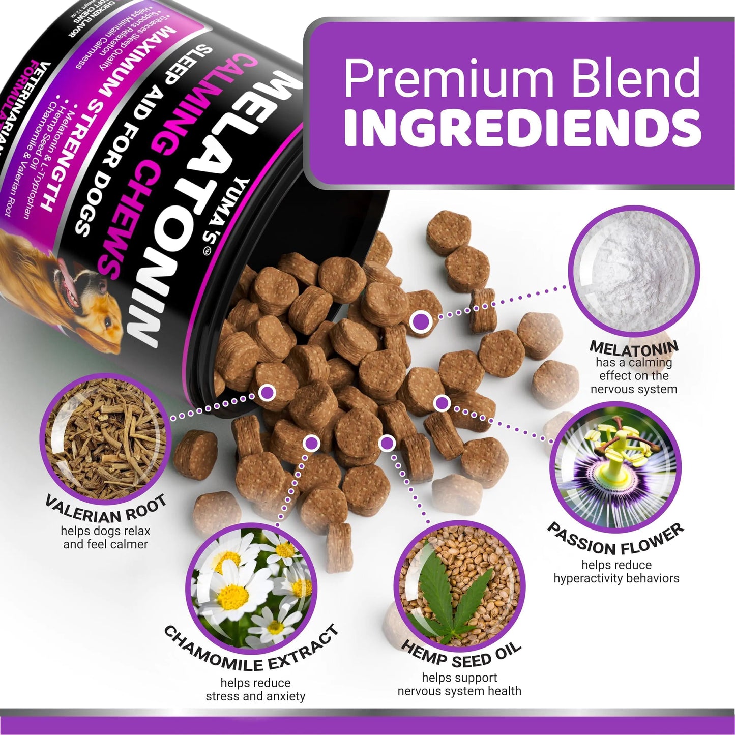 Serenity Dog Calming Melatonin Treats - 170 Chews