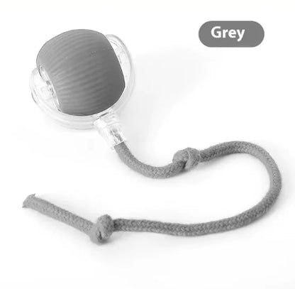 Chirping Motion Activated Teaser Ball