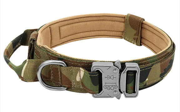 Nylon Dog Collar
