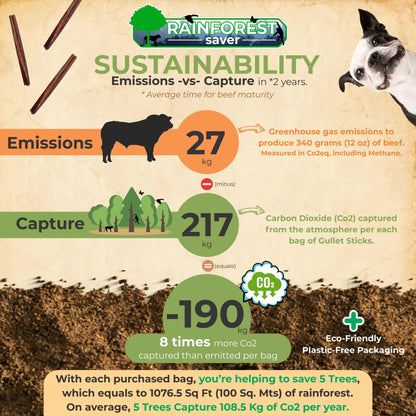 Gullet Sticks 100% Natural Beef Esophagus Dog Chews 24 Pack