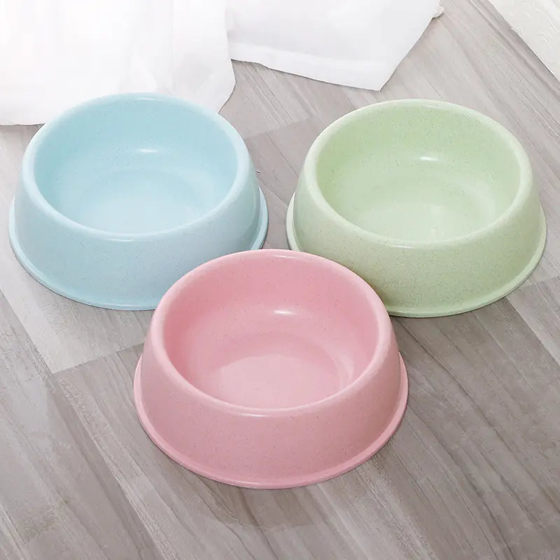 Simple Chic Dog Bowl