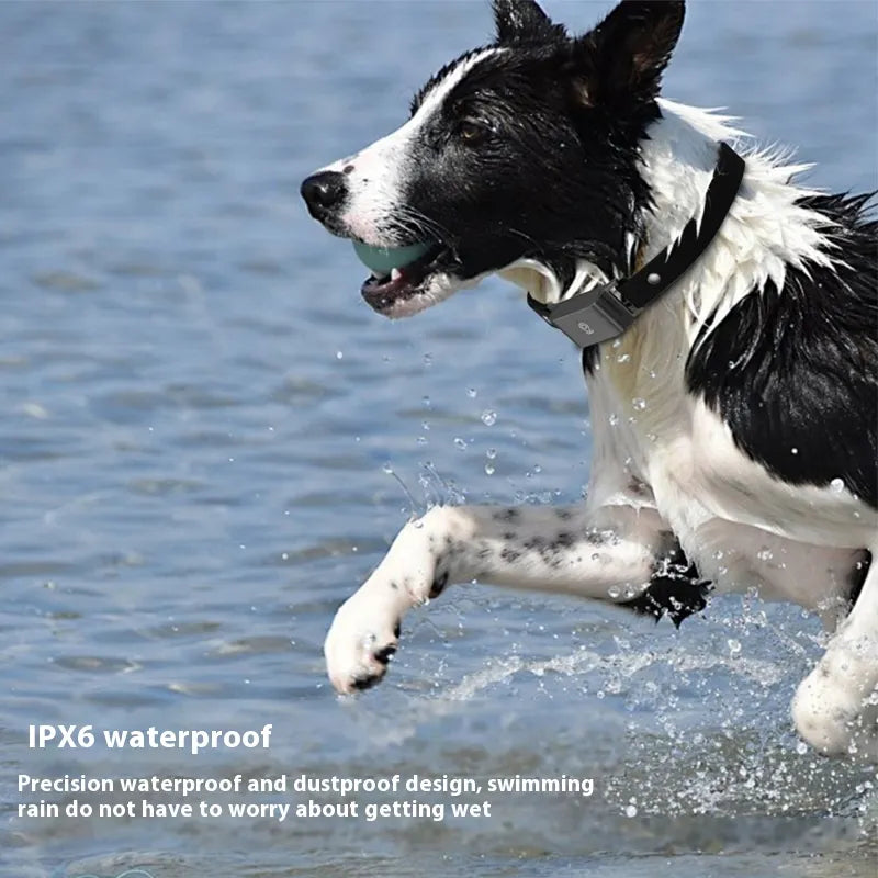 Waterproof Pet GPS Tracking Collar