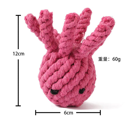 Rugged Cartoon Dog Toys