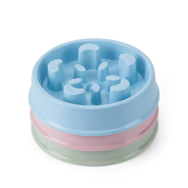 Slow Feeding Dog Bowl